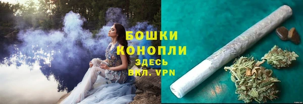 PSILOCYBIN Балабаново