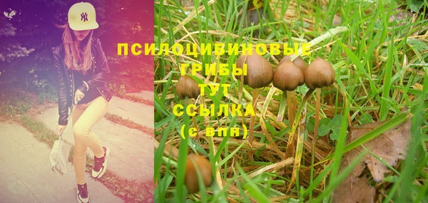 PSILOCYBIN Балабаново